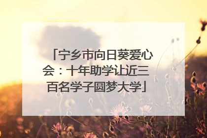 宁乡市向日葵爱心会：十年助学让近三百名学子圆梦大学