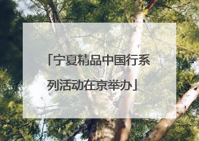 宁夏精品中国行系列活动在京举办