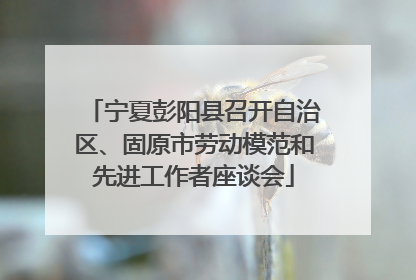 宁夏彭阳县召开自治区、固原市劳动模范和先进工作者座谈会