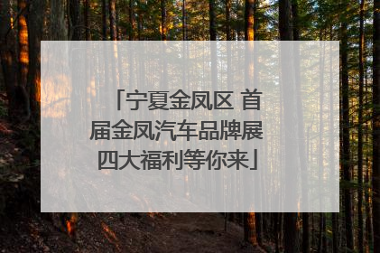 宁夏金凤区 首届金凤汽车品牌展四大福利等你来