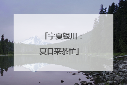 宁夏银川：夏日采茶忙