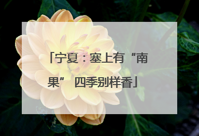 宁夏：塞上有“南果” 四季别样香