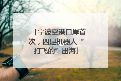 宁波空港口岸首次，四足机器人“打飞的”出海
