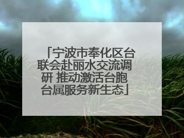宁波市奉化区台联会赴丽水交流调研 推动激活台胞台属服务新生态