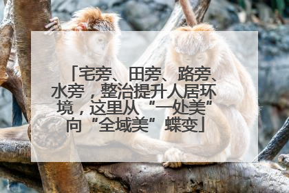 宅旁、田旁、路旁、水旁，整治提升人居环境，这里从“一处美”向“全域美”蝶变