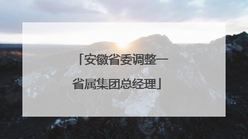 安徽省委调整一省属集团总经理