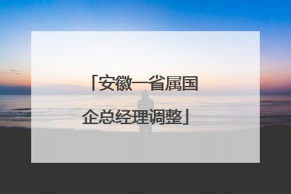 安徽一省属国企总经理调整