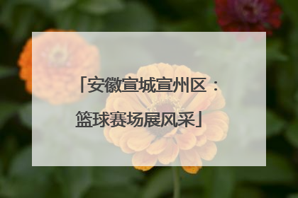 安徽宣城宣州区：篮球赛场展风采