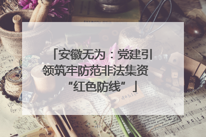 安徽无为：党建引领筑牢防范非法集资“红色防线”