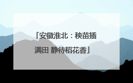 安徽淮北：秧苗插满田 静待稻花香
