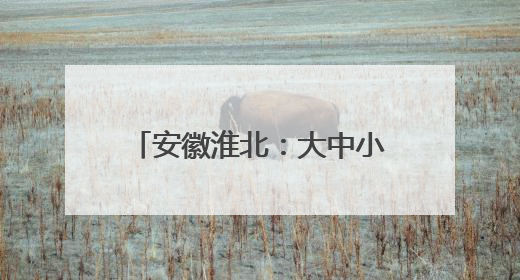 安徽淮北：大中小课程思政一体化示范课程（音乐）开题仪式圆满举行