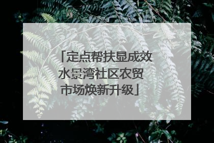 定点帮扶显成效 水景湾社区农贸市场焕新升级
