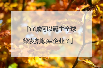 宜城何以诞生全球染发剂领军企业？