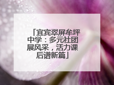 宜宾翠屏牟坪中学：多元社团展风采，活力课后谱新篇