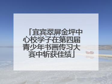 宜宾翠屏金坪中心校学子在第四届青少年书画传习大赛中斩获佳绩