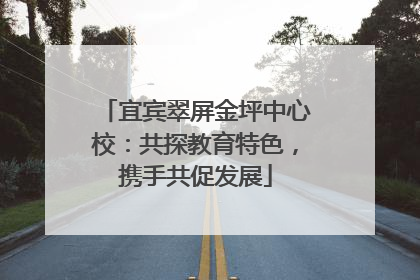 宜宾翠屏金坪中心校：共探教育特色，携手共促发展