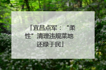 宜昌点军：“柔性”清理违规菜地 还绿于民