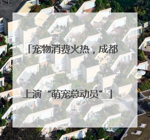 宠物消费火热，成都上演“萌宠总动员”