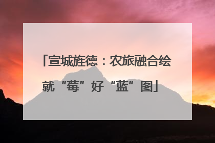 宣城旌德：农旅融合绘就“莓”好“蓝”图