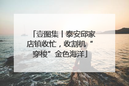 壹图集丨泰安邱家店镇收忙，收割机“穿梭”金色海洋