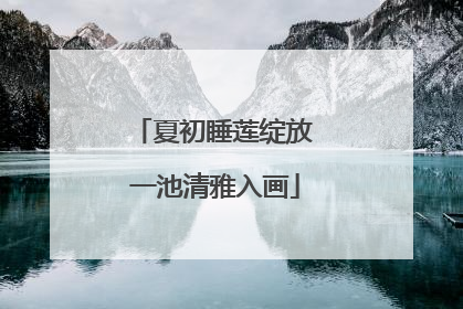 夏初睡莲绽放 一池清雅入画