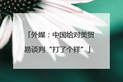 外媒：中国给对美贸易谈判“打了个样”