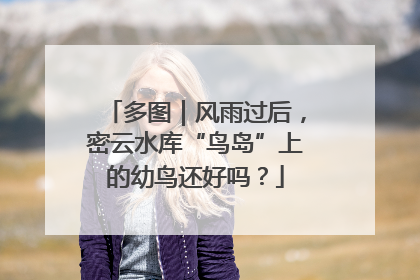 多图｜风雨过后，密云水库“鸟岛”上的幼鸟还好吗？