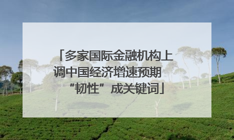 多家国际金融机构上调中国经济增速预期 “韧性”成关键词