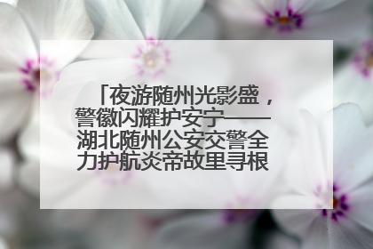 夜游随州光影盛，警徽闪耀护安宁——湖北随州公安交警全力护航炎帝故里寻根节夜游活动侧记