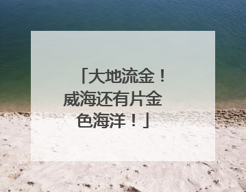 大地流金！威海还有片金色海洋！
