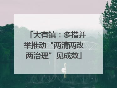 大有镇：多措并举推动“两清两改两治理”见成效