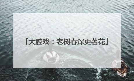 大腔戏：老树春深更著花