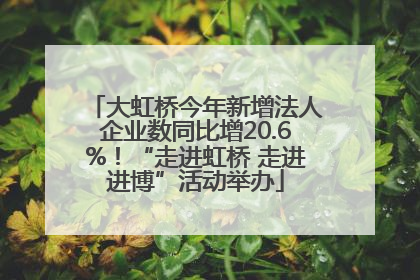 大虹桥今年新增法人企业数同比增20.6%！“走进虹桥 走进进博”活动举办