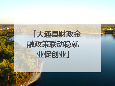 大通县财政金融政策联动稳就业促创业