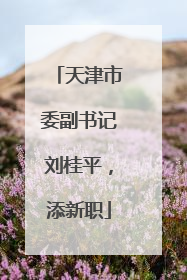 天津市委副书记刘桂平，添新职
