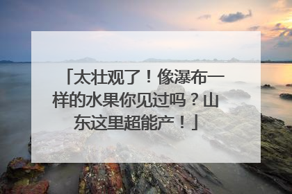 太壮观了！像瀑布一样的水果你见过吗？山东这里超能产！