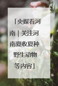 央媒看河南｜关注河南夏收夏种 野生动物等内容