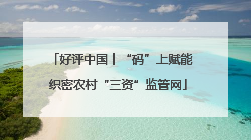 好评中国丨“码”上赋能 织密农村“三资”监管网