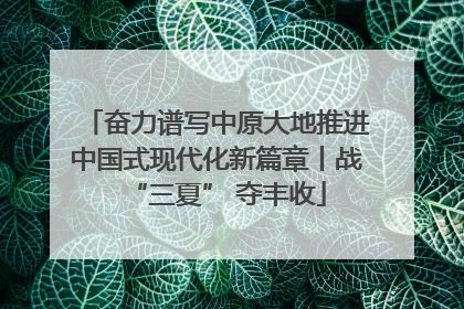 奋力谱写中原大地推进中国式现代化新篇章丨战“三夏” 夺丰收