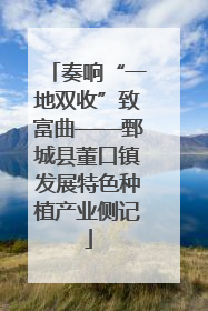 奏响“一地双收”致富曲——鄄城县董口镇发展特色种植产业侧记