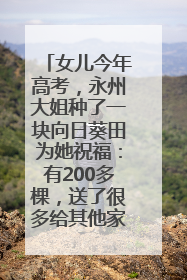 女儿今年高考，永州大姐种了一块向日葵田为她祝福：有200多棵，送了很多给其他家长