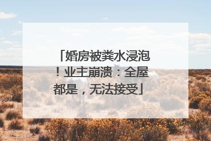 婚房被粪水浸泡！业主崩溃：全屋都是，无法接受