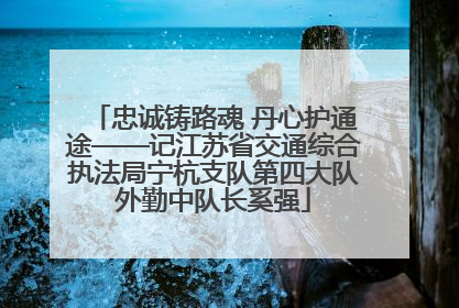 忠诚铸路魂 丹心护通途——记江苏省交通综合执法局宁杭支队第四大队外勤中队长奚强