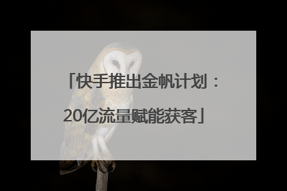 快手推出金帆计划：20亿流量赋能获客