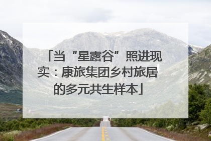当“星露谷”照进现实：康旅集团乡村旅居的多元共生样本