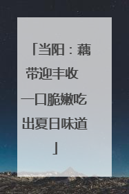 当阳：藕带迎丰收 一口脆嫩吃出夏日味道