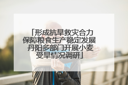 形成抗旱救灾合力 保障粮食生产稳定发展 丹阳多部门开展小麦受旱情况调研