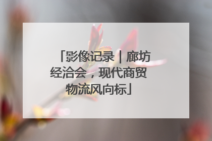 影像记录｜廊坊经洽会，现代商贸物流风向标