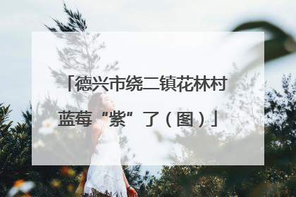 德兴市绕二镇花林村蓝莓“紫”了（图）