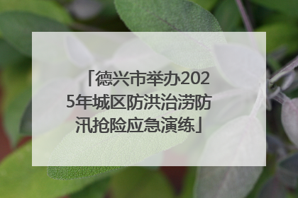 德兴市举办2025年城区防洪治涝防汛抢险应急演练